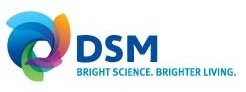 DSM referentielogo